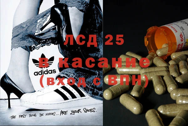 прущие грибы Алексин