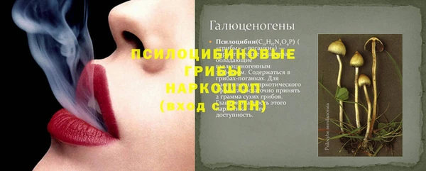тгк Алзамай