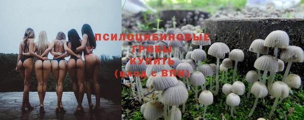 прущие грибы Алексин