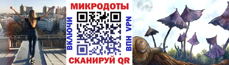 ссылка на мегу зеркало  Калач-на-Дону  Псилоцибиновые грибы Cubensis 